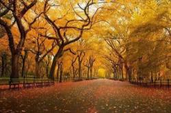 开云app-英雄联盟四川总决赛全球顶尖战队对决