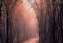 开云app-华纳音(yīn)乐WMG拟联手奈飛(fēi)NFLX外包影视制作