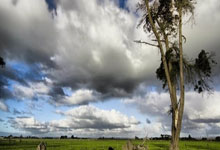 开云新闻-英超球队如何借鉴NFL战术实现定位球成功