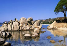 kaiyun-红魔为何成为电竞赛事首选用机