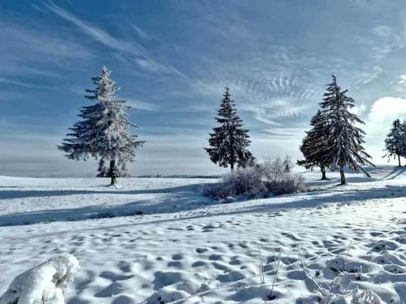 英雄联盟全球总决赛冠亚军决赛四川打响